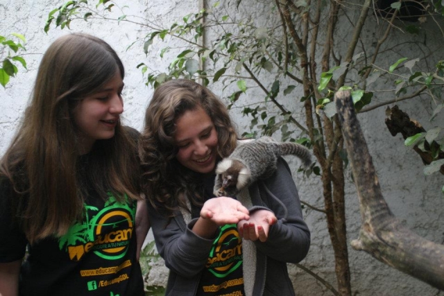 Animales exoticos